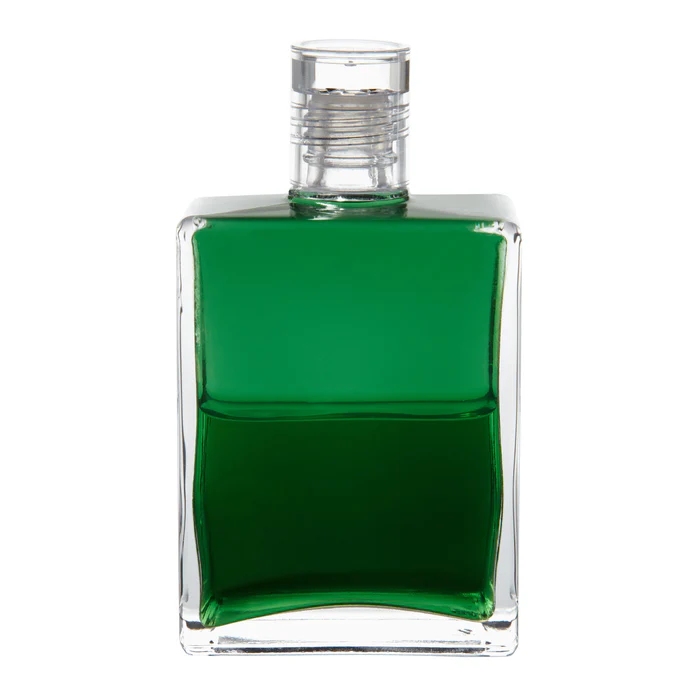 ‘가서 나무를 껴안아라’