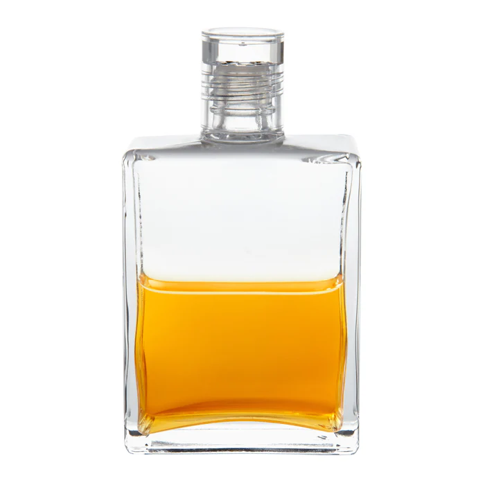 새로운 시대의 지혜