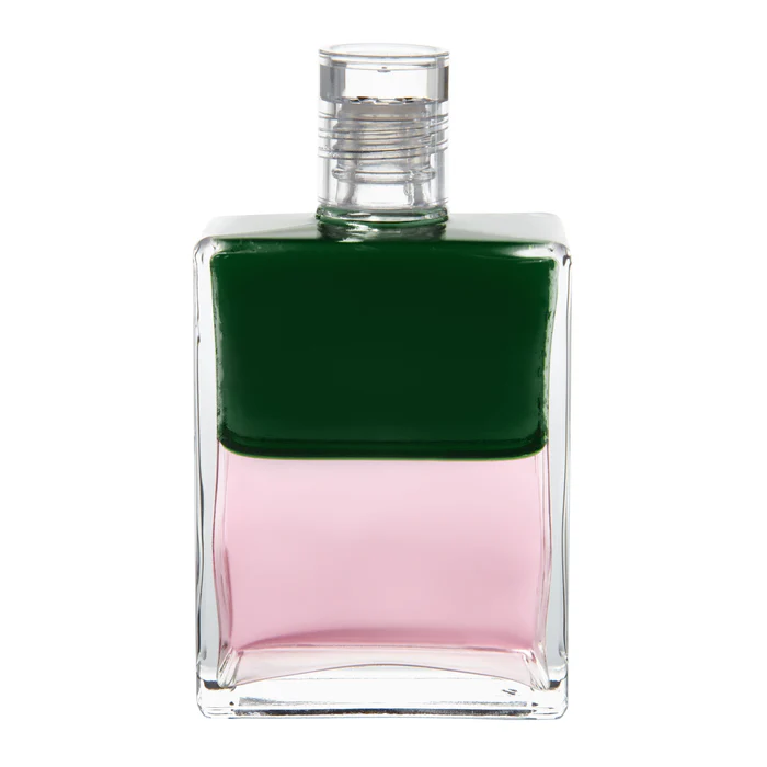 사랑을 위한 새로운 시작