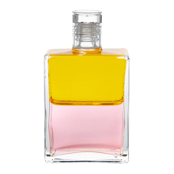 재탄생 바틀/깨어나기