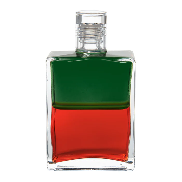 마리온 아가씨(로빈훗의 배우자)