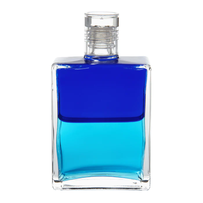 돌고래 바틀/ 목적을 지닌 평화