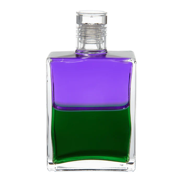 음유시인 2/식별