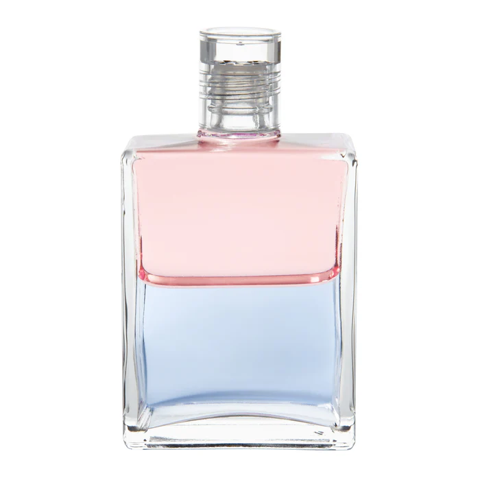 팔라스 아테나와 아에올러스