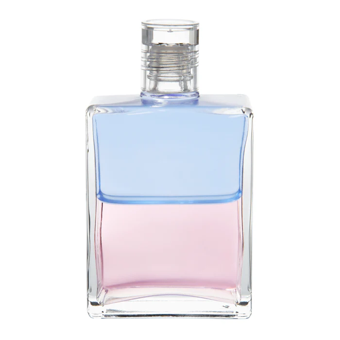 오리온과 안젤리카