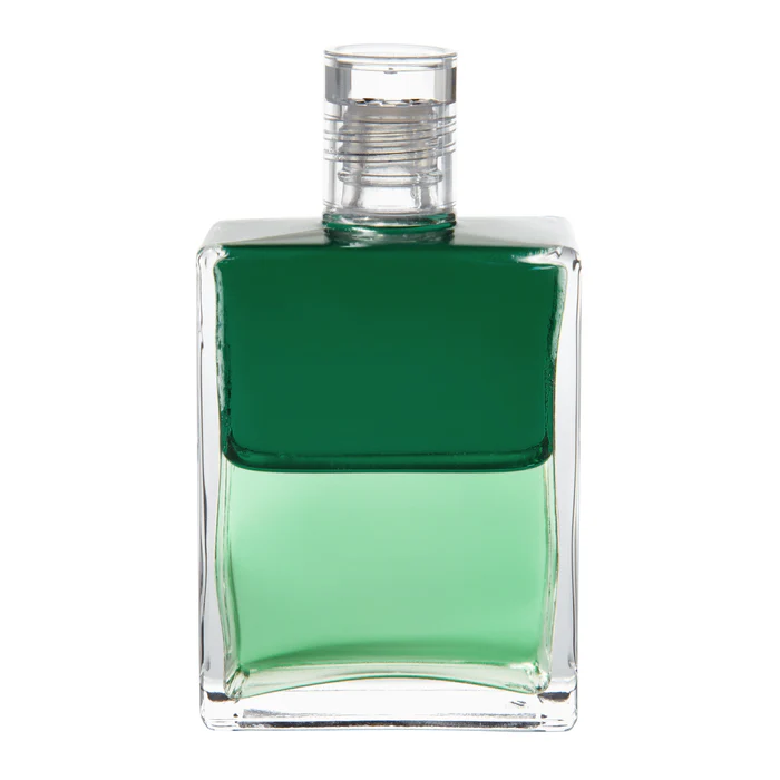 두알쿨과 힐라리온