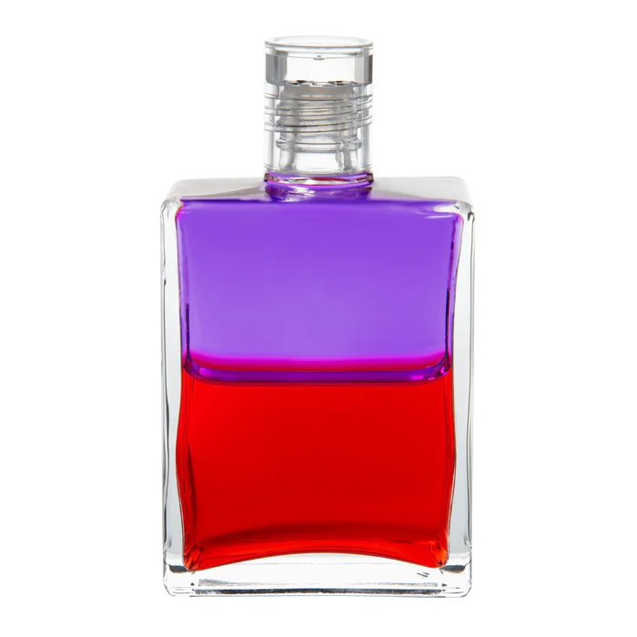 머리는 천상에, 발은 땅에