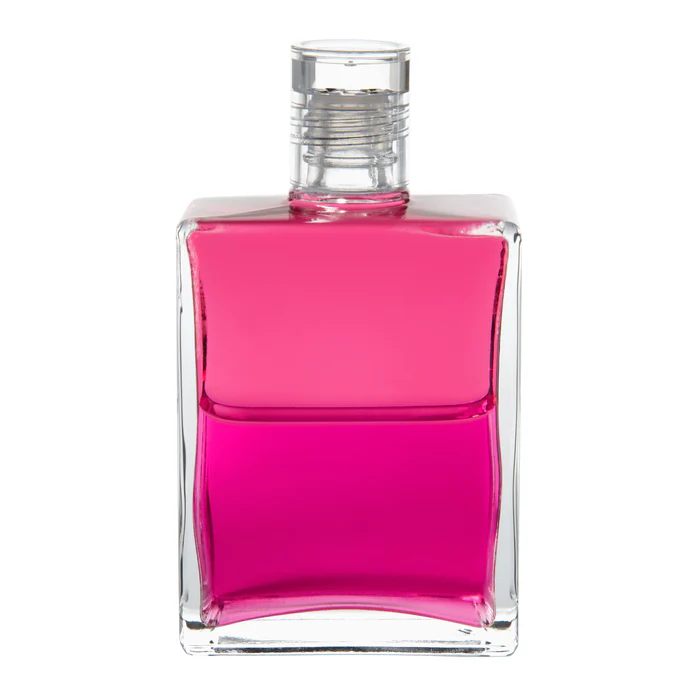 위로부터의 사랑