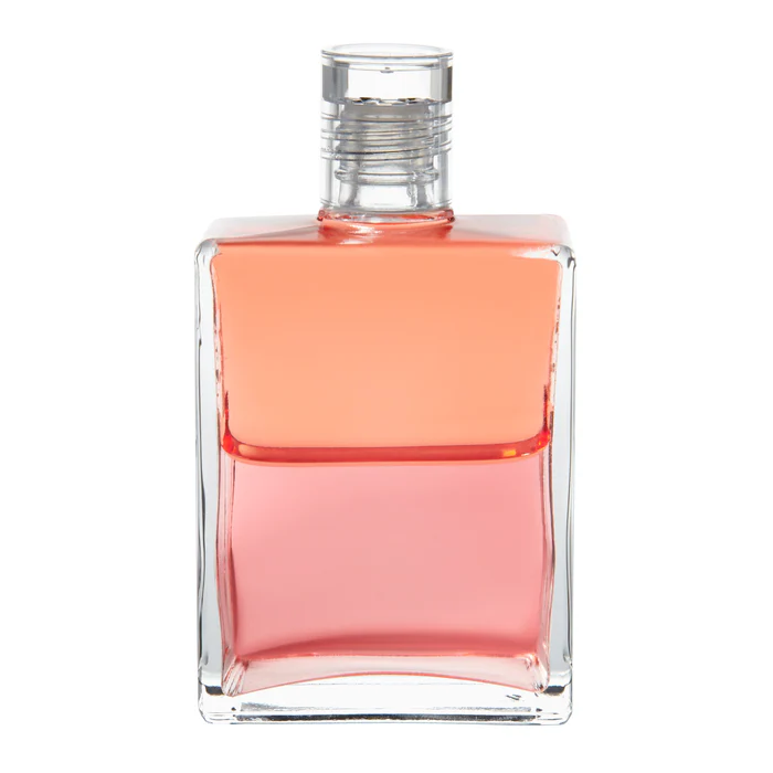 사랑 지혜(Love Wisdom)