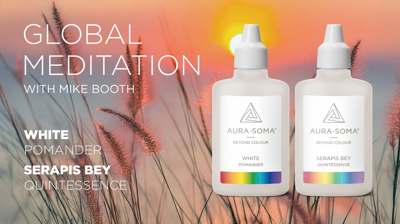 Global Meditation hosted on Zoom