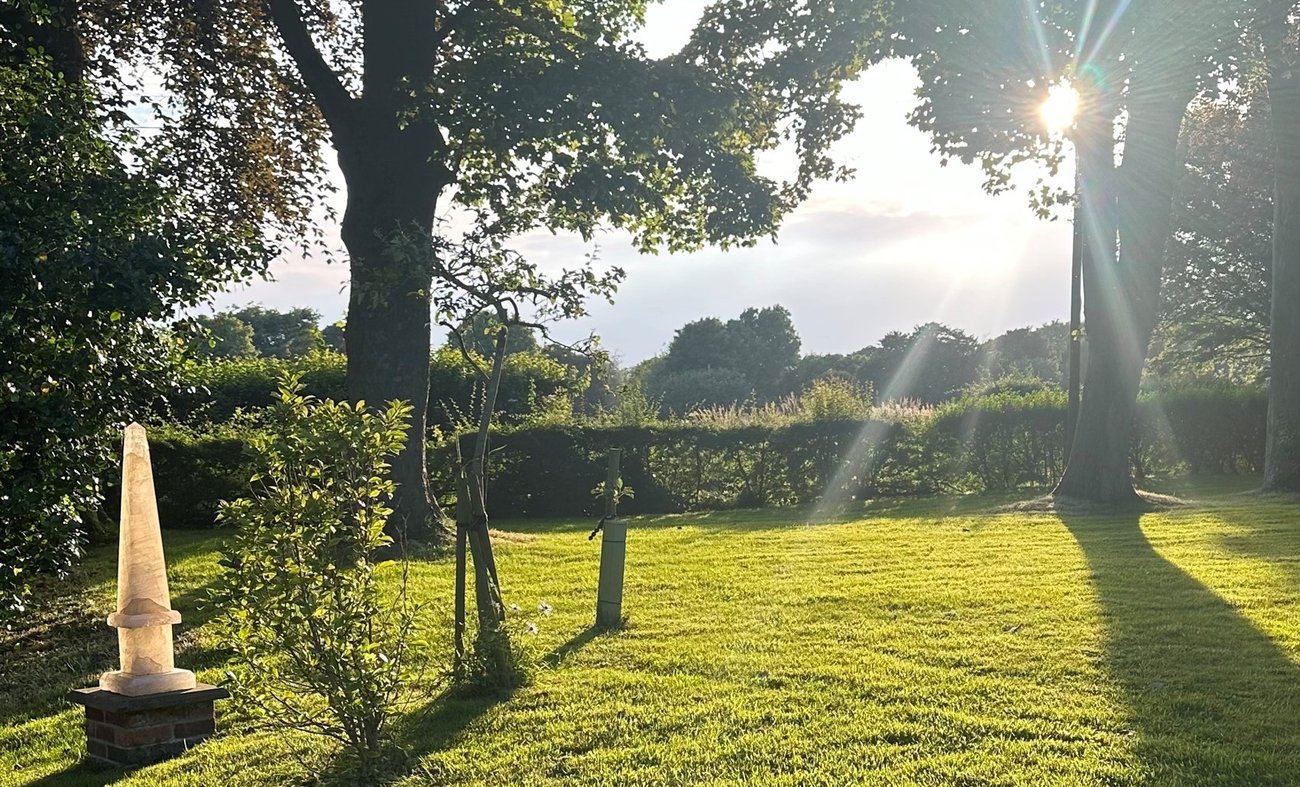 Summer Solstice at Dev-Aura